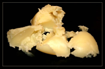 Bottersmolt. Bild: ww/Pixelio